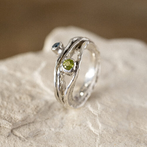 Anello Alga Big
